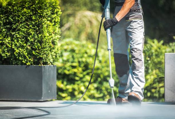 Best Driveway Pressure Washing  in Kendall West, FL
